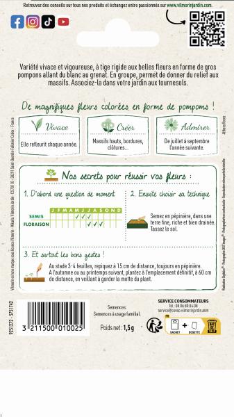 Fleurs - Rose Trémière Double Grande Variée - Graines d'Exception - MEDIA_PACKAGING_VERSO